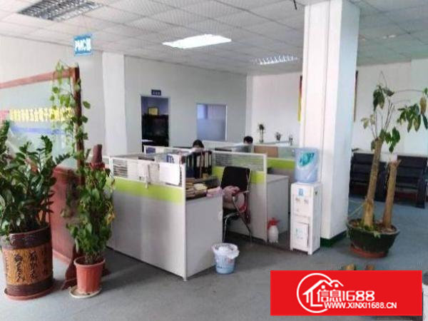 清溪铁松新出一楼带装修1950平米厂房，空地大