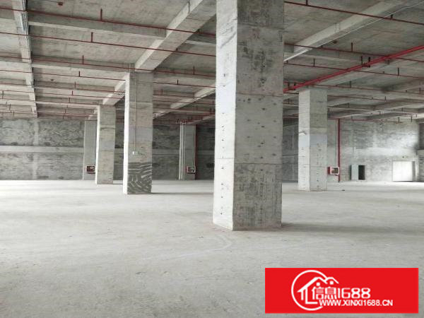 坂田业主独院六层科技园重工业红本厂房出租层高8.5米可分租！