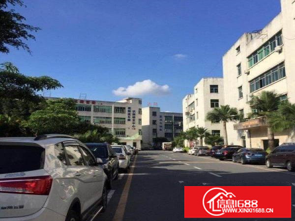 坂田梅观高速口华为附近亚洲工厂房240350平米