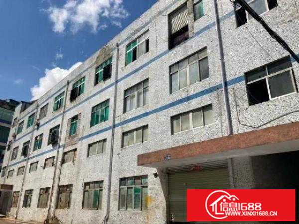 龙华大浪一楼1500平楼层高厂房出租