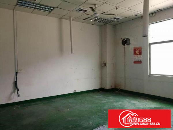 坂田上雪红本厂房一楼1300平，层高6米，可分租