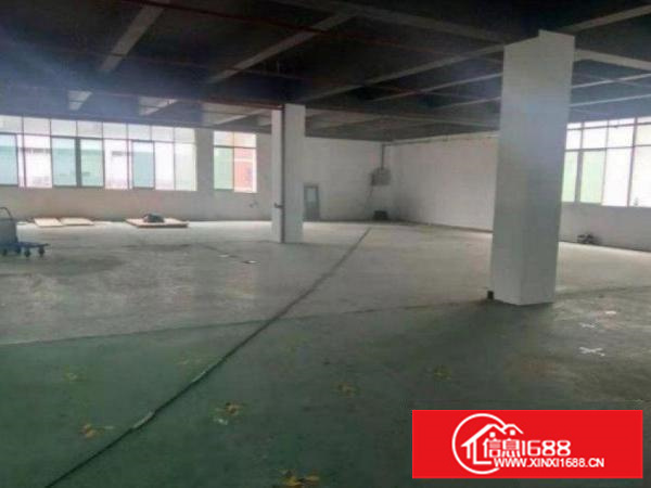 一楼标准厂房整层2000平大小面积可以分租