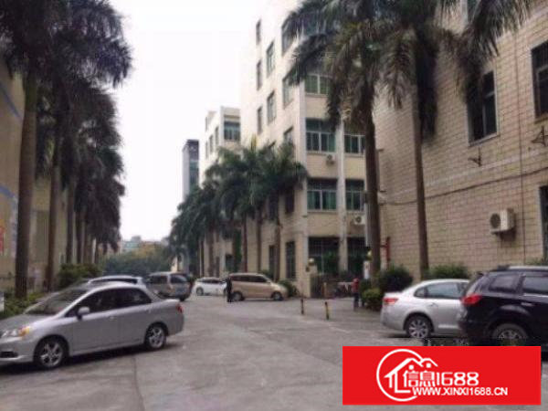 平湖新厦标准厂房一楼1200平形象好原房东无公摊带精装修