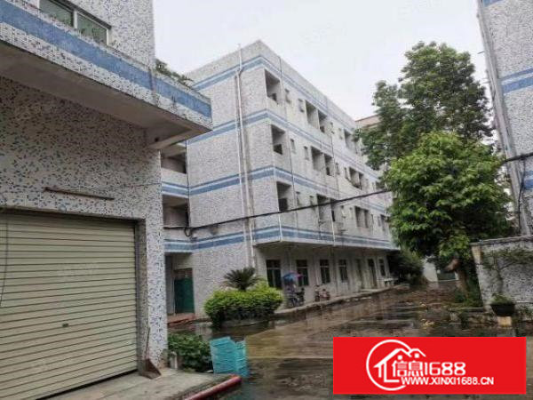 20元龙岗镇爱联嶂背独院厂房三层共4200m2整租也可分租