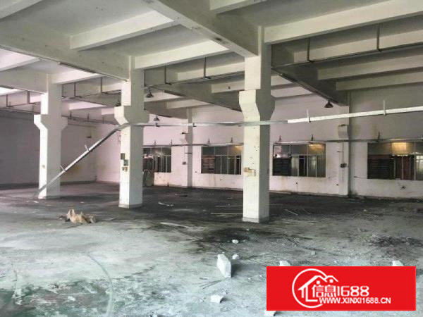 塘厦石潭布4200平方米带大空地独院厂房招租