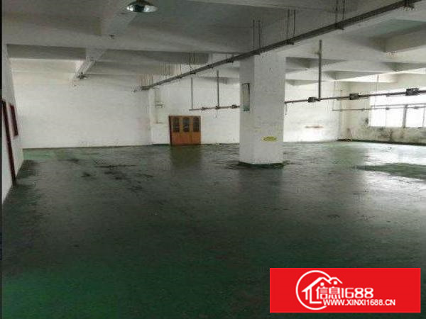 龙岗区横岗楼上250平带装修厂房出租独立办公室全新地坪漆