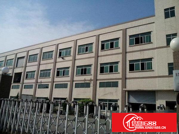 南坑正规工业区850平米带装修厂房