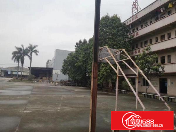 大岭山鸡翅岭原房东6000平无尘车间可做污染大空地独院厂房出