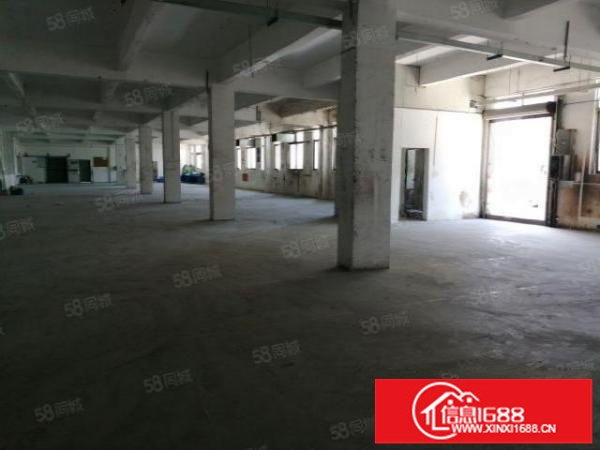 松岗罗田象大道边原房东红本独院厂房