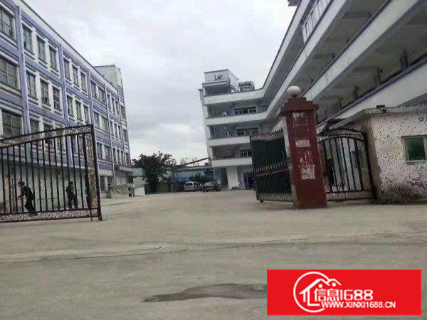 龙岗宝龙标准厂房出租一楼1850平方层高5米带装修