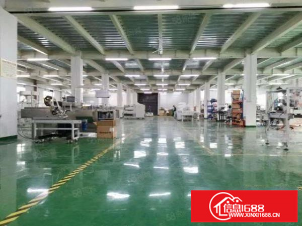 新建厂房园区管理，北滘工业区6000方标准厂房带办公宿舍A