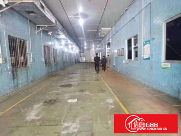 长安镇上沙社区有1480平方小独栋出租，可分租