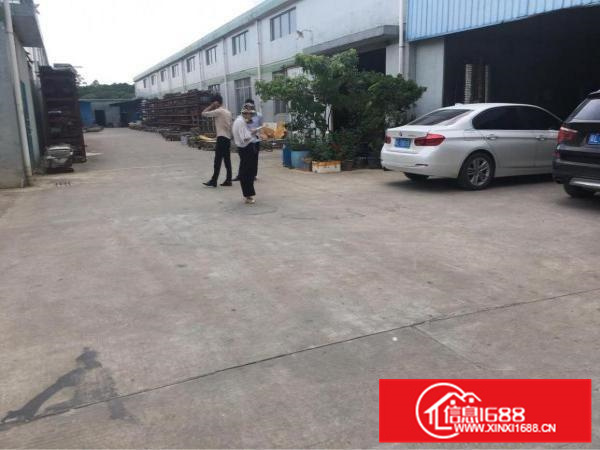 惠阳秋长原房东2500平方米小独院，带红本