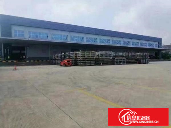 企石单一层物流仓共10000平方低价出租