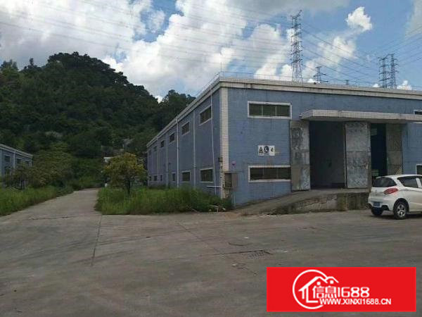 大岭山新房源滴水10米钢构空地能停飞机可分租