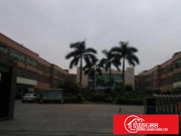 龙岗嶂背步行街1楼厂房800平出租水电齐全形象特好