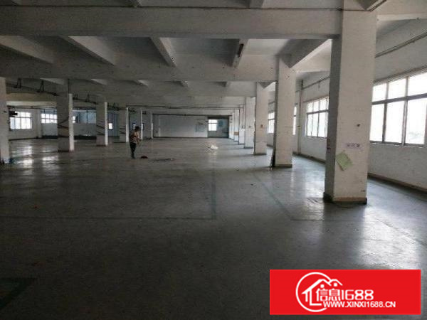 园洲镇标准独院厂房出租2100消防喷淋包办环评