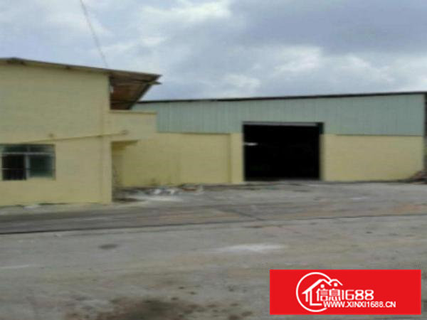 高埗新出独门独院单一层厂房1300平方出租