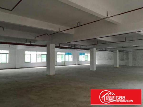万江简沙洲标准厂房楼上三楼2000平方带消防喷淋出租