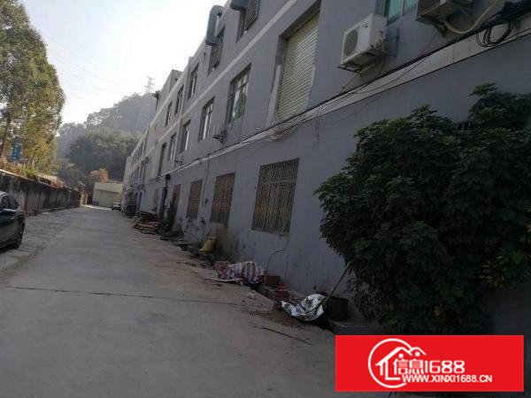 凤岗金凤凰工业区空出一楼700厂房5米高价钱好谈