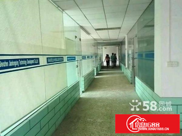 牛栏前;展滔;油松;1000、1500平带装修厂房