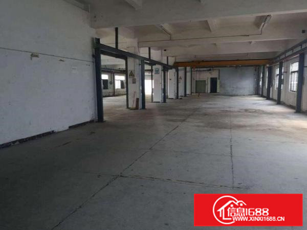 横沥汽车站新出独院3800平方招租【实际面积300起分】