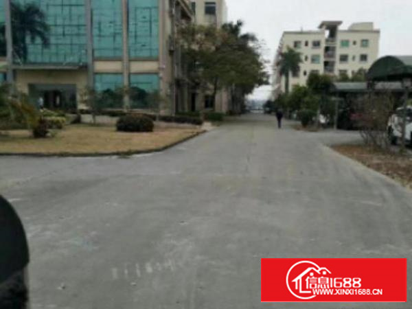 万江独院标准厂房仓库500至10000平方招租空地大;有专人