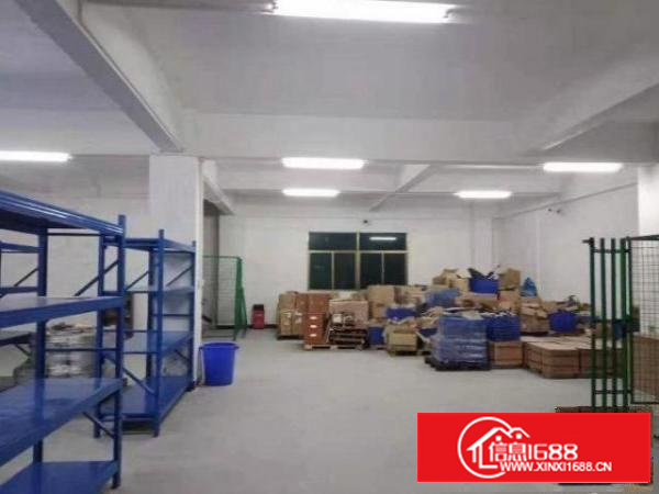 石排水贝一楼新出带装修标准厂房500平出租，无公摊