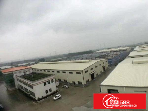 全新钢构独院花园式单一层厂房，位于东深路口，可分租