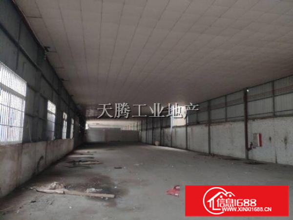 笋盘！容桂大厂房出租！6137方水泥结构，形象好！