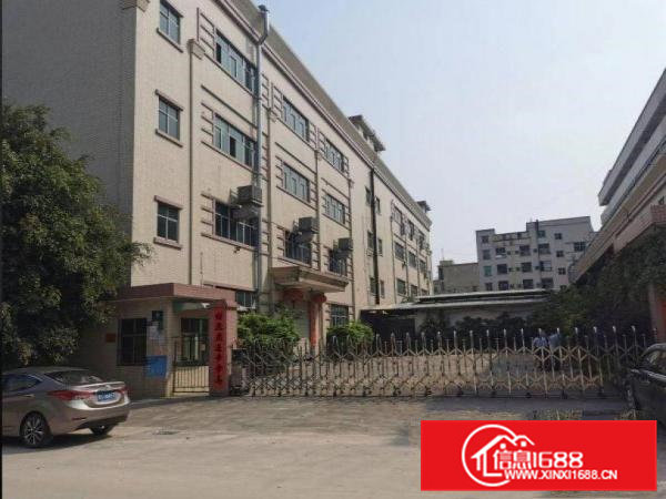 卢边原房东小独院厂房出租5000平方交通方便易招工