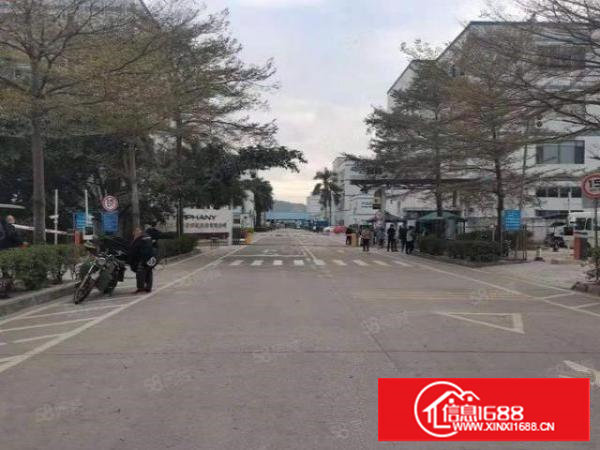 塘厦平山新出花园式园区90000平方里面多套独院对外出租