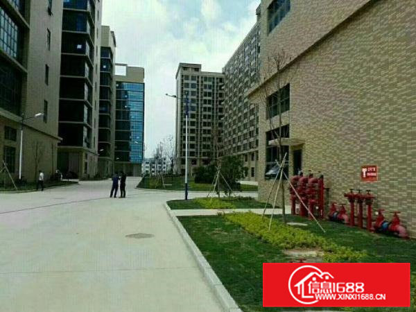 凤岗镇高端产业园（双证齐全）十三万平米招商大小分租