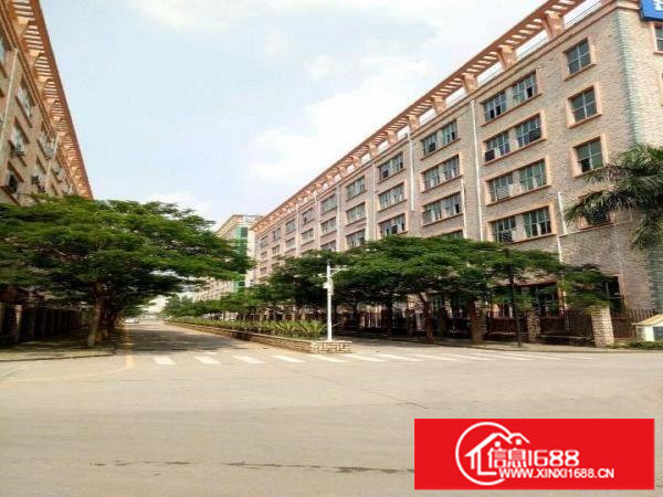 坪山区坑梓龙田街道莹展科技园厂房1250平米招租