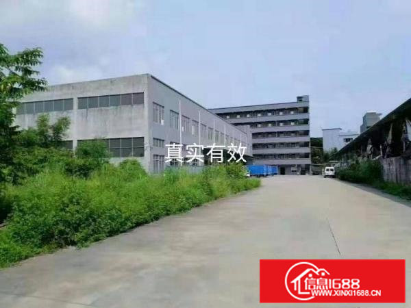 虎门原房东实际面积独门独院厂房急租