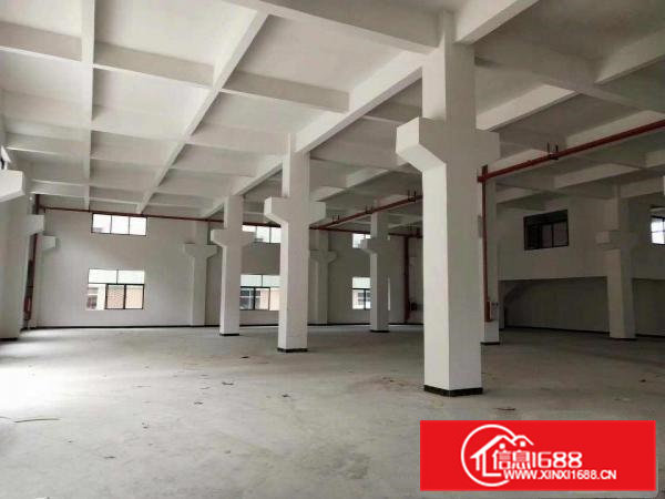 出租桥头镇桥东产业园全新重工业厂房