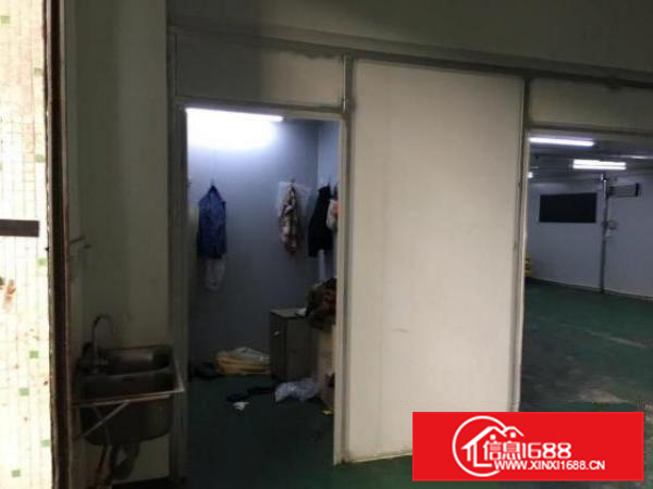 全新装修无尘车间冷机冷库全新，适合做配送食品冷藏等行业