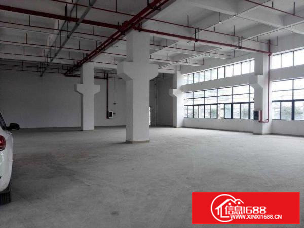 全新厂房带牛角！6米高，水电到车间最小可分租五百