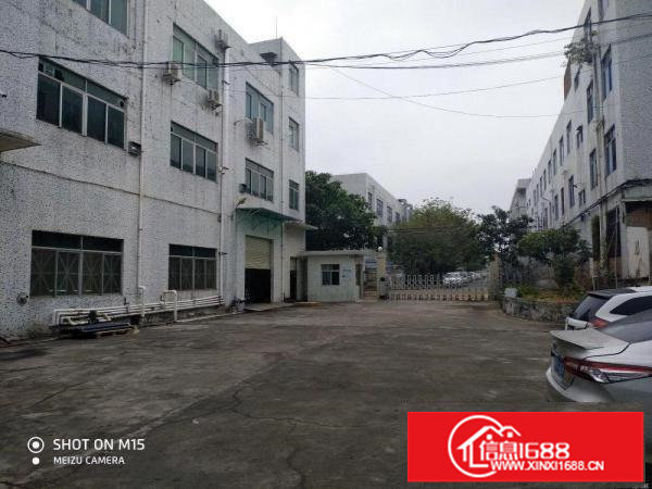 坪山竹坑原房东二三楼各1200平带装修出租，无公摊