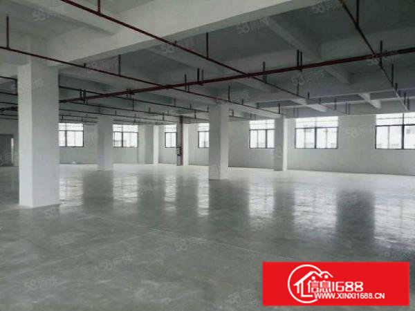 大宁全新厂房招租，房东免租期长，条件可谈，600平起租