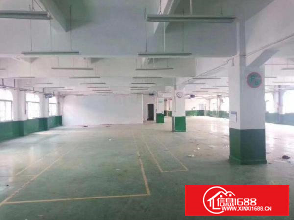 长安厦岗新出独院厂房3900平方招租，带装修可分租