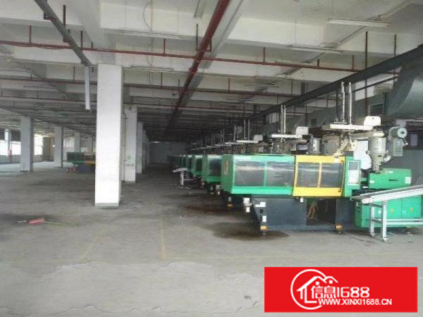 坪山大工业区新出楼上30000平带卸货平台可分租