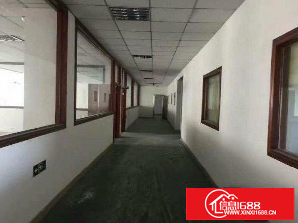 新开靓盘！坪地年丰村，带办公带电梯可分租