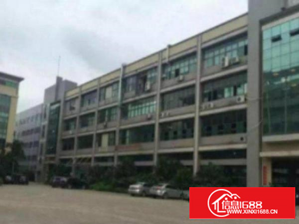 万江简沙洲标准厂房一楼1000平方带办公室装修