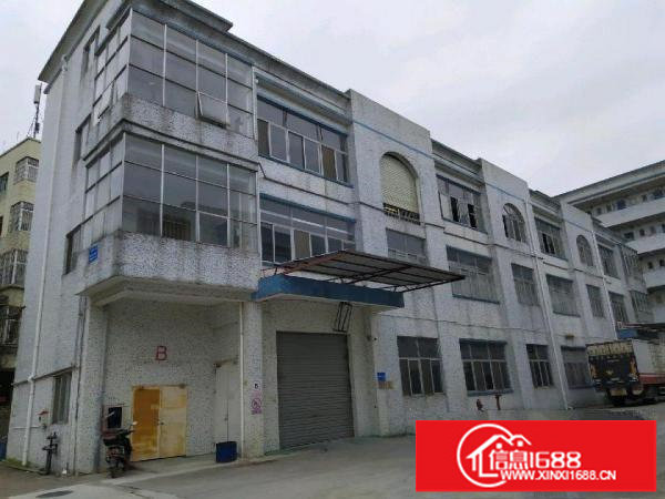 坪山坪山碧岭新出原房东无尘车间500平米