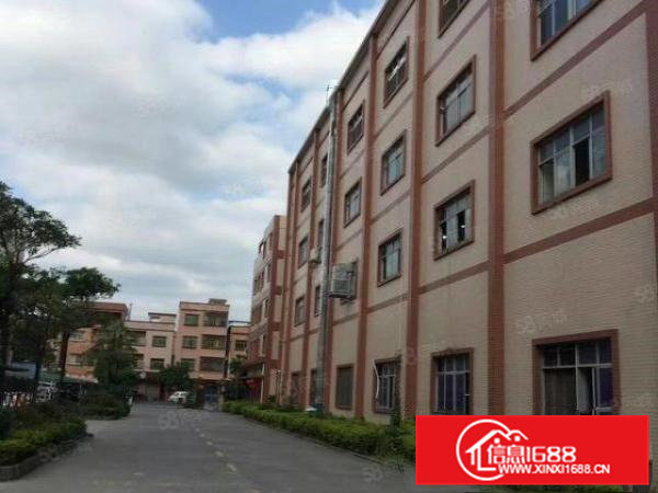 企石镇新出带地坪漆分租楼上第三层800平方价格实惠