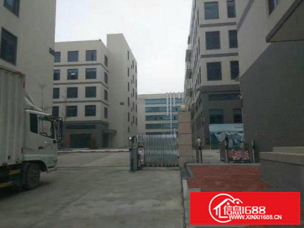 平湖良安田原房东楼上1200平米实际面积出租