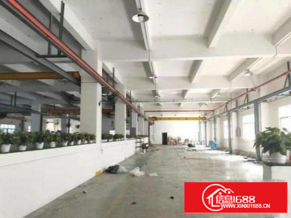 石排田边原房东标准一楼1500平方带行车厂房