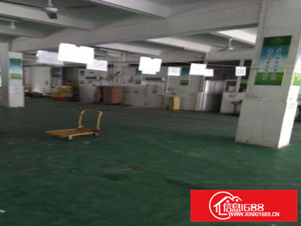 平湖白泥坑工业区1000平方精装修配送厂房出租，现成冷库