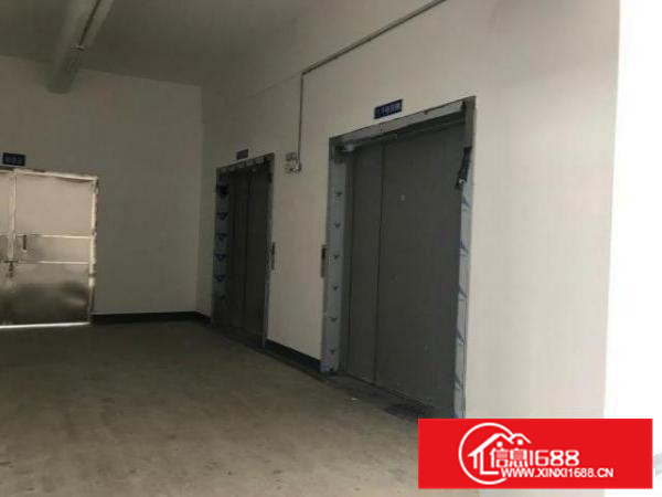 出租顺德区均安镇标准化新厂房